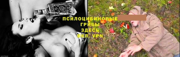 СК Алексеевка