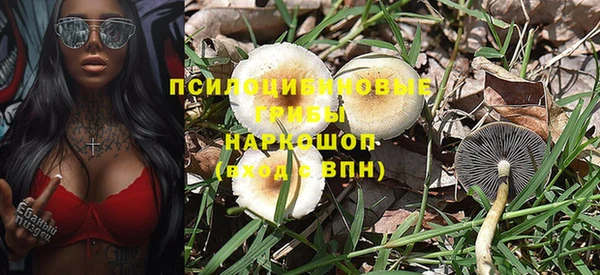дурь Алексин